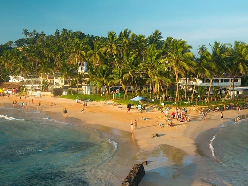 Mirissa Coastal Sea Tour